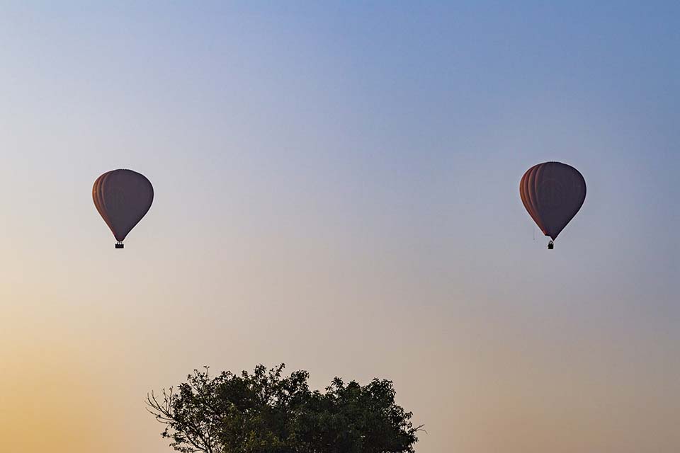 YPO_2019_05336.jpg