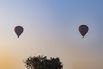 YPO_2019_05336.jpg