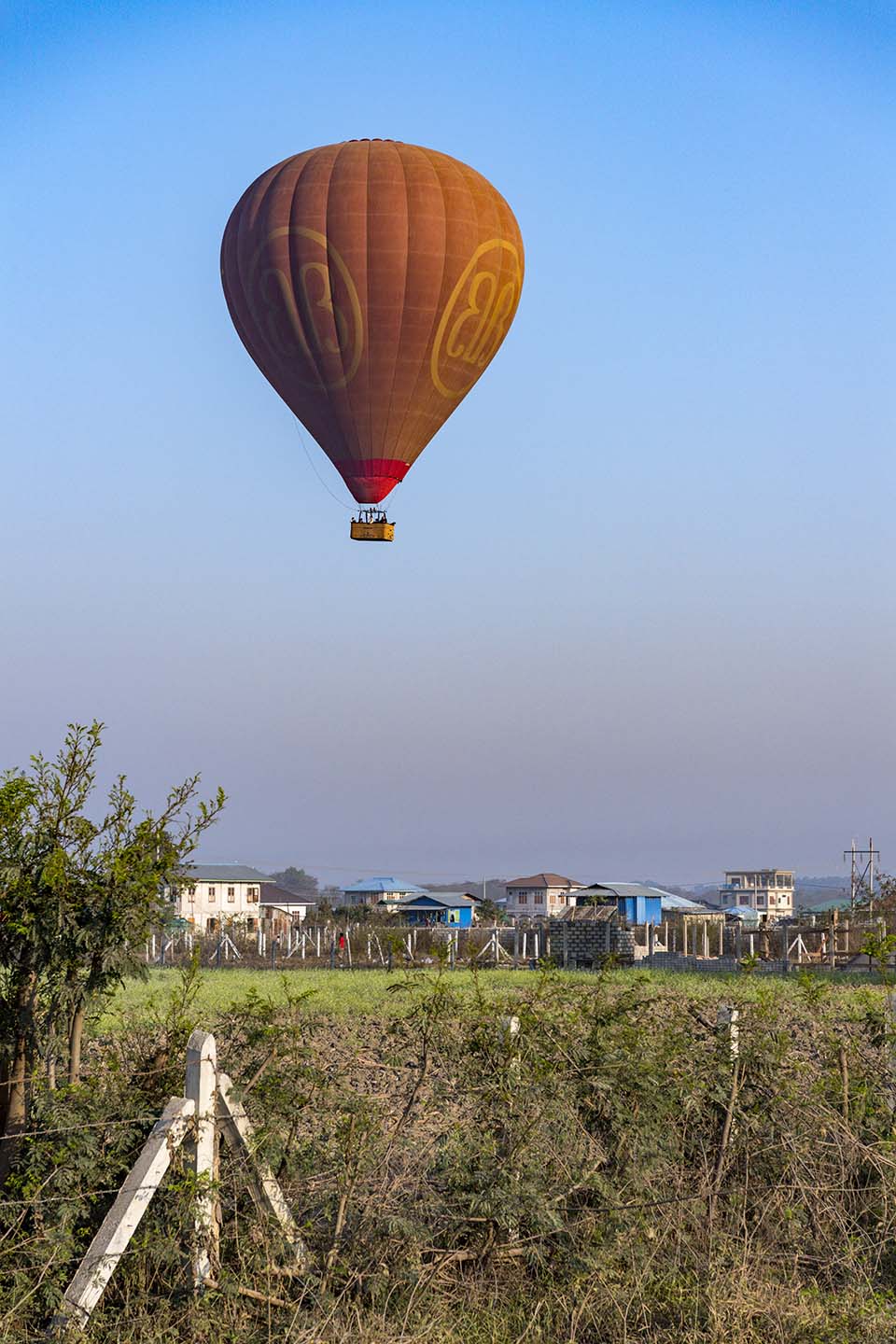 YPO_2019_05377.jpg