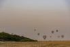 YPO_2019_03293.jpg