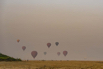 YPO_2019_03294.jpg