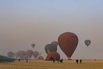YPO_2019_03298.jpg