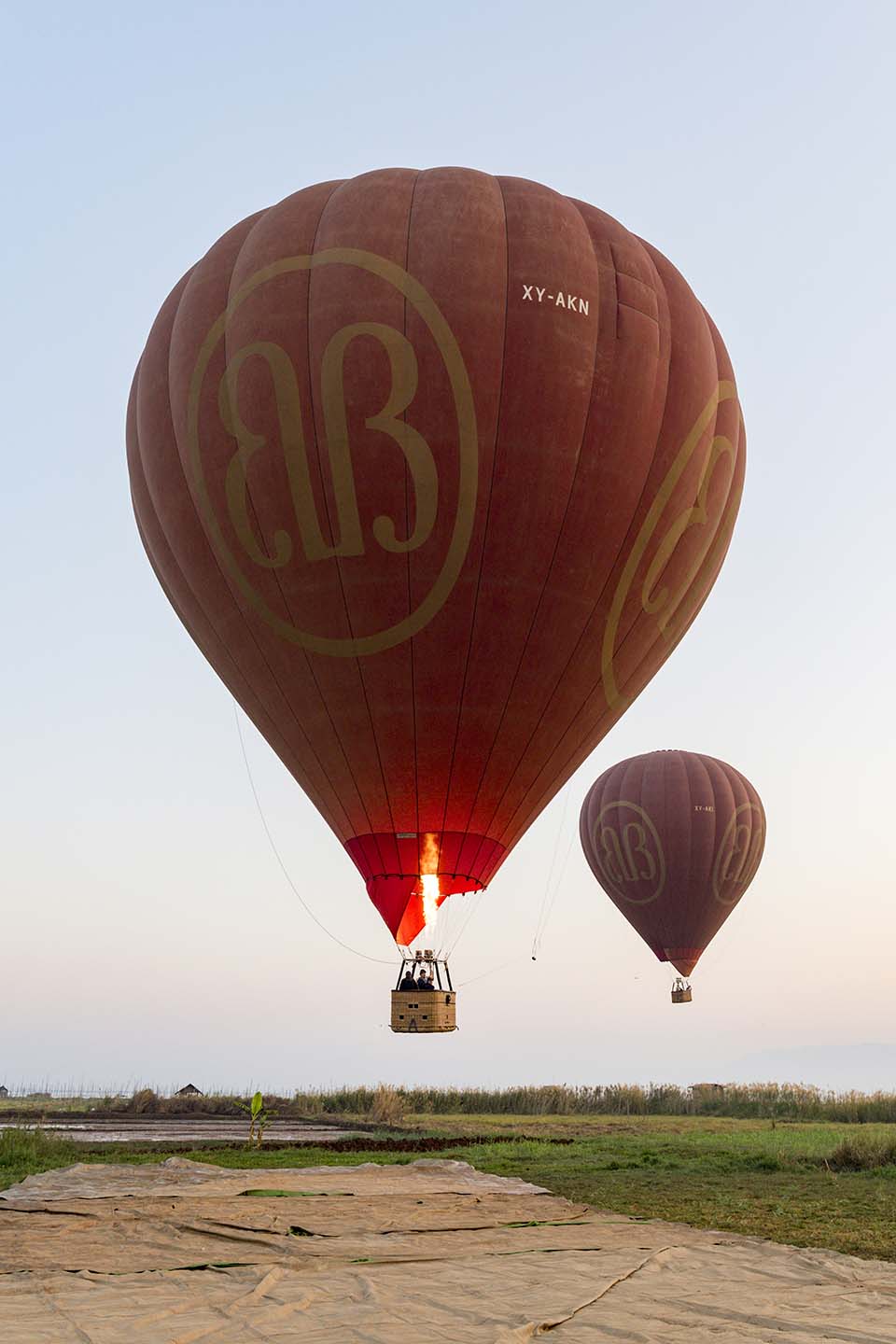YPO_2019_05205.jpg