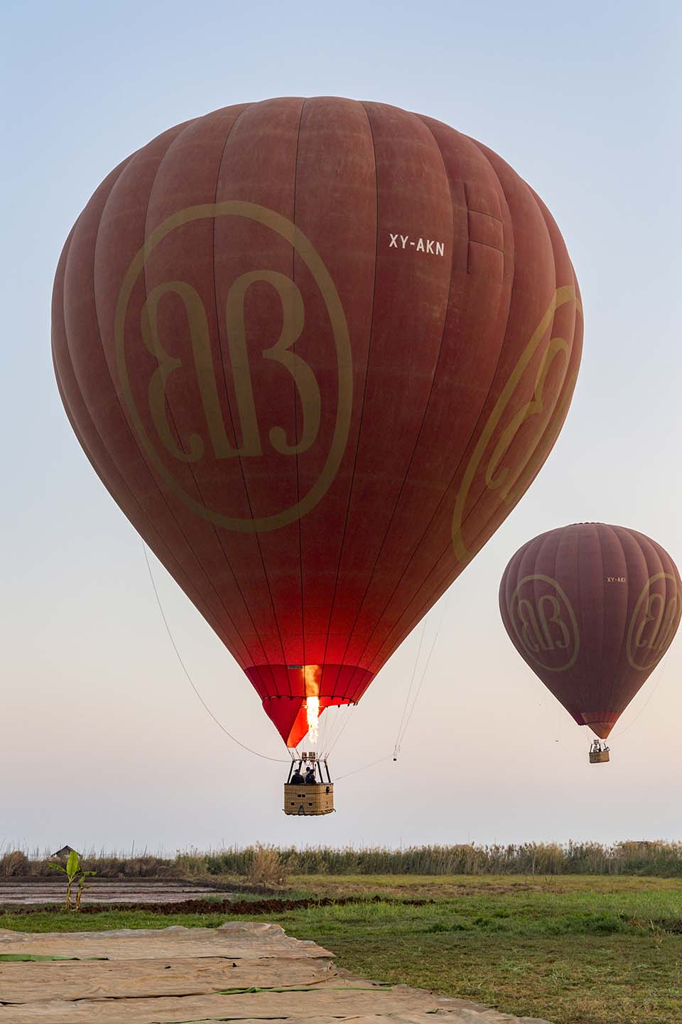 YPO_2019_05208.jpg