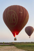 YPO_2019_05208.jpg