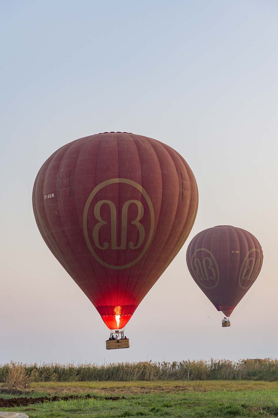 YPO_2019_05218.jpg