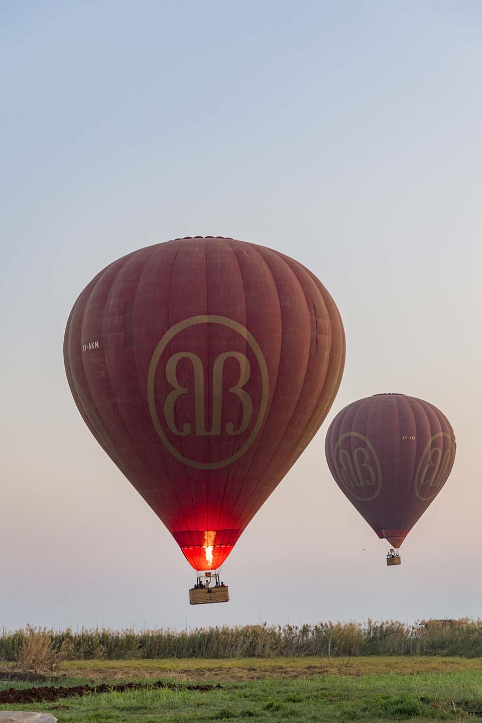 YPO_2019_05219.jpg