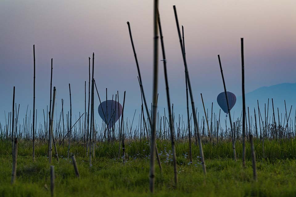 YPO_2019_05222.jpg