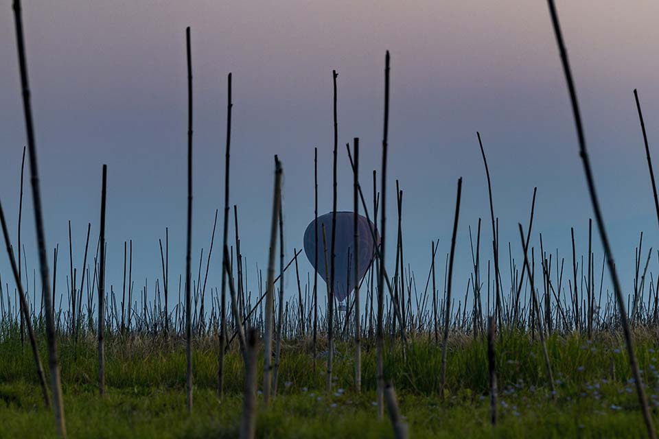 YPO_2019_05223.jpg