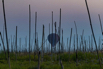 YPO_2019_05223.jpg