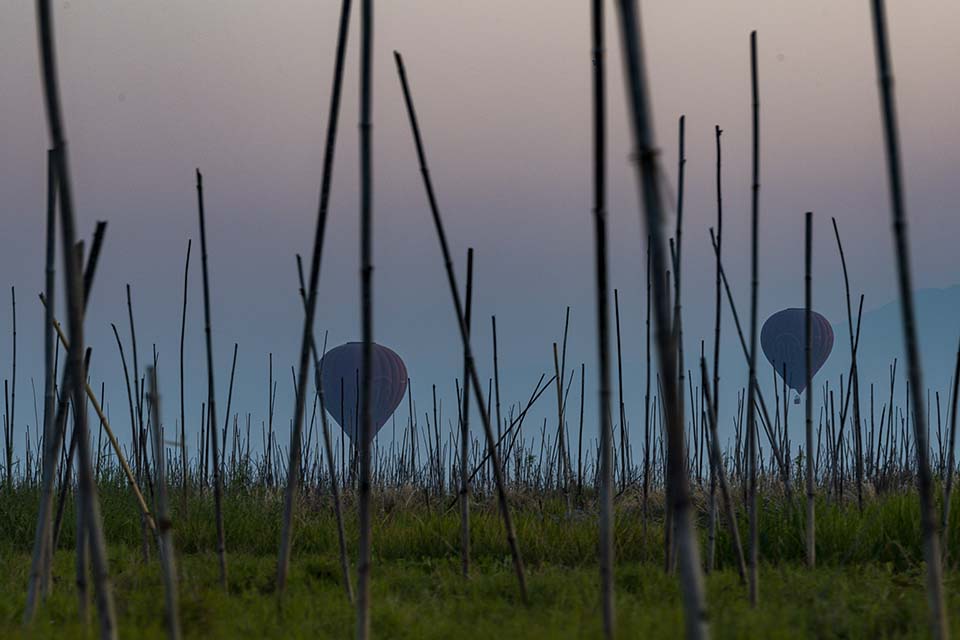 YPO_2019_05225.jpg