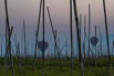 YPO_2019_05225.jpg