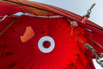 BOB_2015_339.jpg