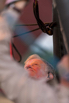 BOB_2019_00137.jpg