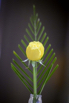 Memories_2026_00022.jpg