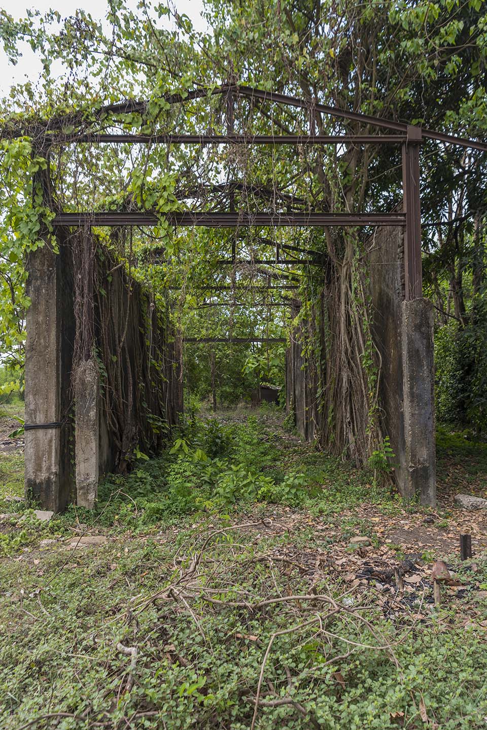Burma_2017_00944.jpg