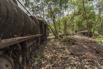 Burma_2017_01000.jpg
