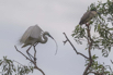PHGE_2016_01544.jpg