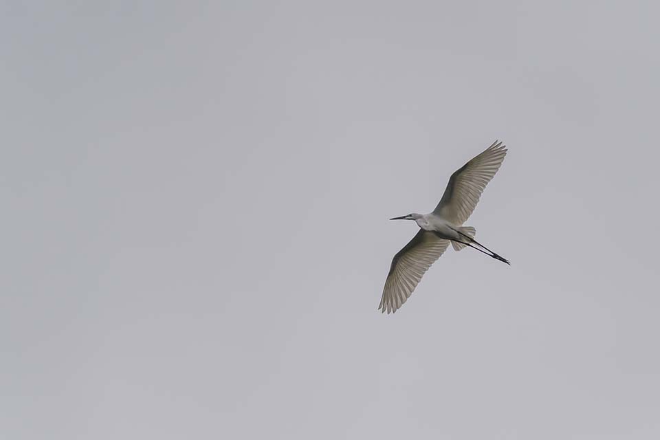 PHGE_2016_01550.jpg