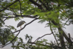 PHGE_2016_01585.jpg