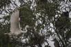 PHGE_2016_01589.jpg