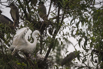PHGE_2016_01590.jpg