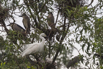 PHGE_2016_01591.jpg