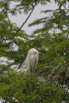 PHGE_2016_01599.jpg
