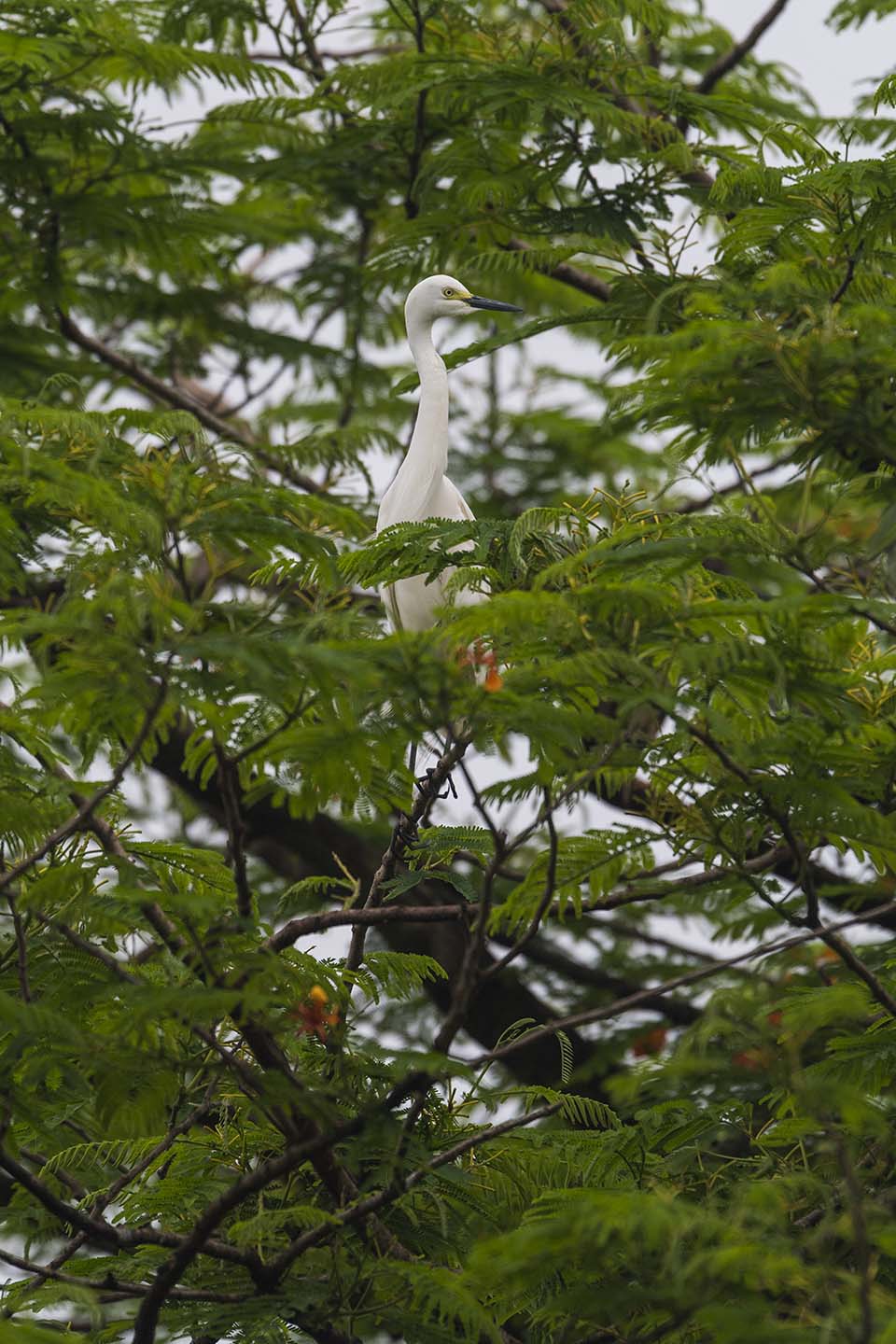 PHGE_2016_01600.jpg
