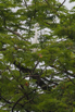 PHGE_2016_01600.jpg