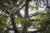 PHGE_2016_01605.jpg