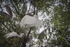 PHGE_2016_01614.jpg