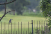 PHGE_2016_01618.jpg