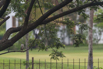 PHGE_2016_01619.jpg