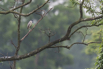 PHGE_2016_01620.jpg
