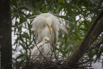 PHGE_2016_01624.jpg