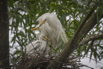 PHGE_2016_01627.jpg