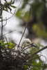 PHGE_2016_01634.jpg