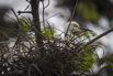 PHGE_2016_01636.jpg