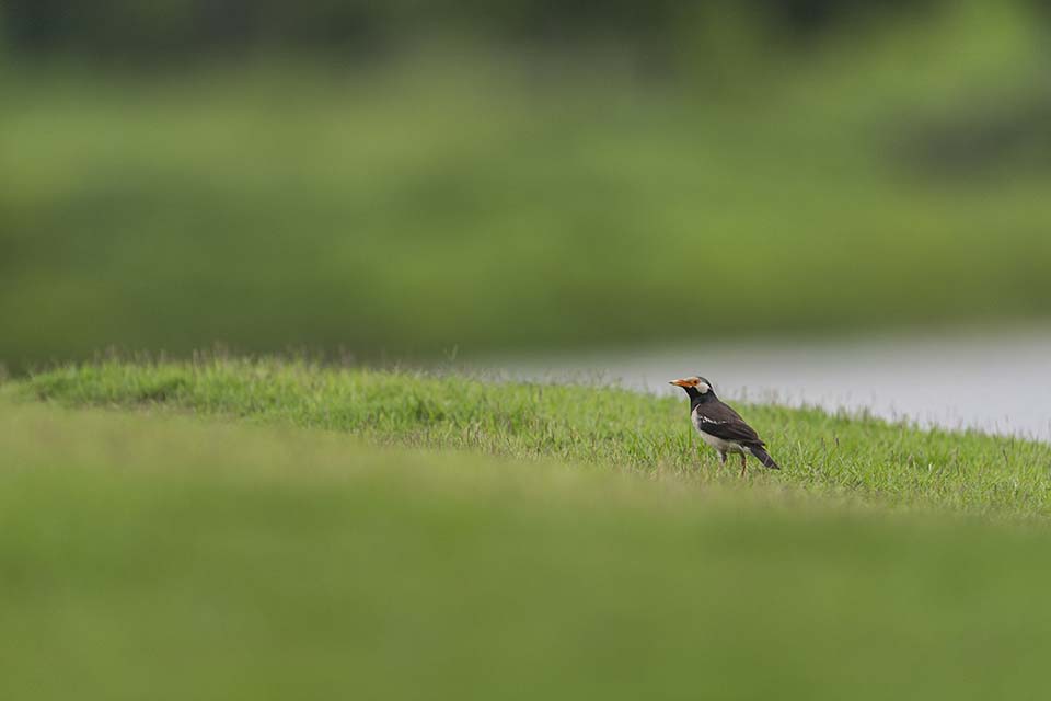 PHGE_2016_01652.jpg