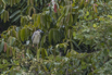 PHGE_2016_01670.jpg