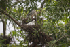 PHGE_2016_01671.jpg