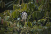 PHGE_2016_01673.jpg