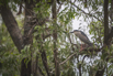 PHGE_2016_01674.jpg