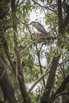 PHGE_2016_01675.jpg