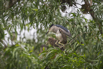 PHGE_2016_01681.jpg