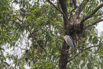 PHGE_2016_01682.jpg