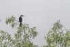 PHGE_2016_01683.jpg