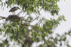 PHGE_2016_01685.jpg