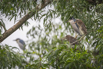 PHGE_2016_01692.jpg